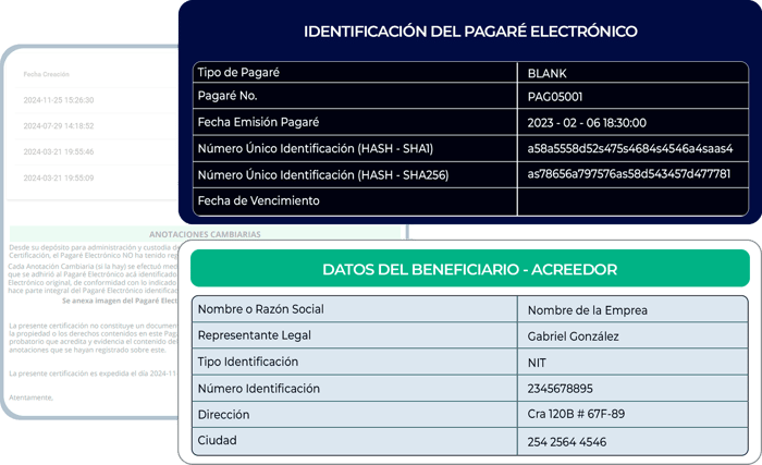 Identificación del pagaré